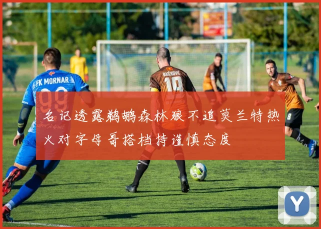 名记透露鹈鹕森林狼不追莫兰特热火对字母哥搭档持谨慎态度